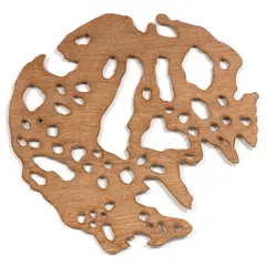 Liz McAuliffe, The Perfection of Imperfection, laser cut plywood, 3/50