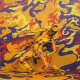 Young Sun Han, Dance of the Cockatrice No. 5, type C print, edition of 4