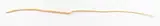 Andrew Drummond, Balancing Rod No. I, gold gilded poplar stick and stainless steel (2009)