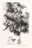Mary McIntyre, Burning Flag