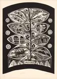 Michel Tuffery, Misiore