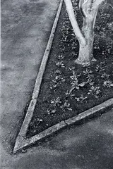 Frozen Flame by Peter Peryer, gelatin silver print, sold Feb 2017