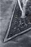 Peter Peryer, Frozen Flame