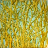 Antonio Murado, Untitled, oil on canvas