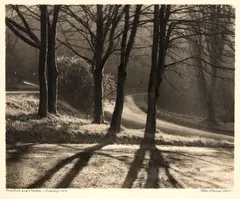 Sunshine and Shadow by George Chance, gelatin silver print exposed through a textured screen, sold Feb 2017