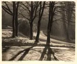 George Chance, Sunshine and Shadow, gelatin silver print exposed through a textured screen