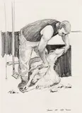 Denis Knight Turner, Shearer