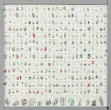 Rohan Wealleans, PEGD Specimen Board