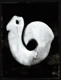 Fiona Pardington, Tiki in Profile in Human Bone, […], <i>…Provenance Unknown, Maori and Colonial Museum, Okain’s Bay, Banks Peninsula</i>, toned silver bromide, fibre-based print, 1/5