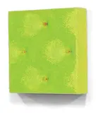 Elizabeth Thomson, Another Green World VII, fibreglass, acrylic, glass and resin, 2008