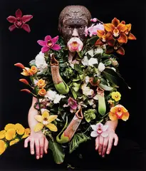 Flower Idol by Richard Orjis, type C print, edition of 9 (2006), sold Nov 2016