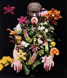 Richard Orjis, Flower Idol, type C print, edition of 9 (2006)