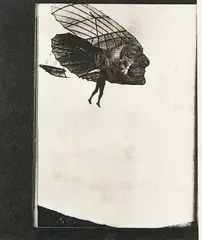 Jason Greig, Dragonfly, photo-transfer collage, 2007