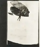 Jason Greig, Dragonfly