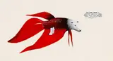 Matt Hunt, Study for Fish Sheep Angel, gouache on paper, 2005
