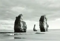 Three Sisters by Peter Peryer, gelatin silver print, sold Oct 2016