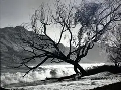 Lake Wakatipu, NZ by Brian Brake, Plastika gelatin silver print, sold Oct 2016