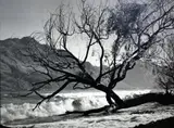 Brian Brake, Lake Wakatipu, NZ, Plastika gelatin silver print