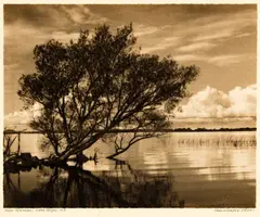 Near Tokaanu, Lake Taupo by George Chance, gelatin silver print exposed through a textured screen, sold Oct 2016