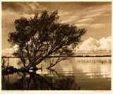 George Chance, Near Tokaanu, Lake Taupo, gelatin silver print exposed through a textured screen