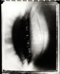 Unprotected by Fiona Pardington, selenium toned gelatin silver hand print on fibre-based archival paper, sold Oct 2016