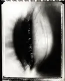 Unprotected by Fiona Pardington, selenium toned gelatin silver hand print on fibre-based archival paper, sold Oct 2016