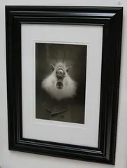 Phineas G. Gruffin by Travis Louie, giclee print on archival paper, offered Oct 2016