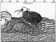 Graham Percy, Ground Hunting Kiwi, ink on paper