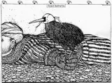 Graham Percy, Ground Hunting Kiwi, ink on paper