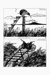 Graham Percy, That Kiwis Might Fly, ink and wash on Arches paper