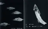 Richard Lewer, I wish to be Beaut-i-ful and Cloud Drawing