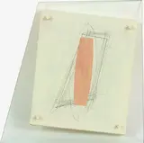 James Ross, Untitled (Entrance)