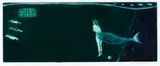 Kathryn Madill, The Little Mermaid, mezzotint, A/P