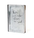L. Budd, Pleasure: There was neither silence nor sound, mixed media