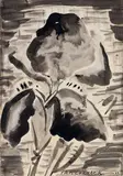 T. A. McCormack, Iris