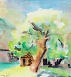 May Smith, Pear Tree in Coromandel during Springtime, watercolour