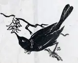Hilda Alexandra Wiseman, Tui and Kowhai, woodblock print
