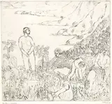 Janet Paul, Harvest, etching