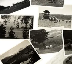 R. J Searle, Eight 1930s Pictorialist Photographs, gelatin silver prints