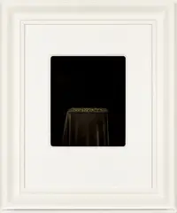 Burnt Matches (Another Failed Experiment) by Ben Cauchi, tintype photograph, sold Aug 2016