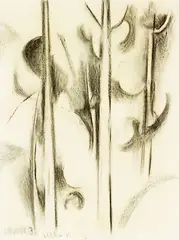 Colin McCahon, Kauri, charcoal on paper