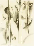 Colin McCahon, Kauri