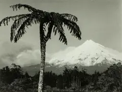 Taranaki by Peter Peryer, gelatin silver print, sold Jun 2016