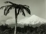 Peter Peryer, Taranaki, gelatin silver print
