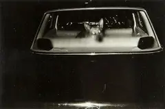 Peter Black, Dog and Mercedes Benz, gelatin silver print, 1978
