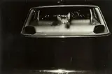 Peter Black, Dog and Mercedes Benz, gelatin silver print, 1978