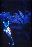 Julie Firth, Sacred Light, type C print, 1/3