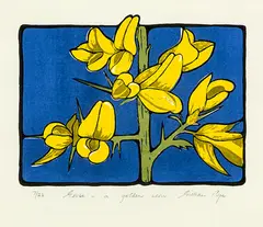 Gillian Pope, Gorse – a Golden Icon, colour woodblock, 7/23