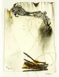 James Robinson, Elemental Drawing