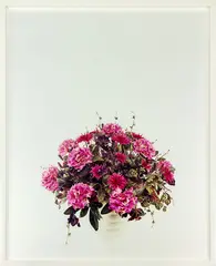 Michael Parekōwhai, Messines from The Consolation of Philosophy: Piko nei te matenga, type C print, edition of 8 (2001)